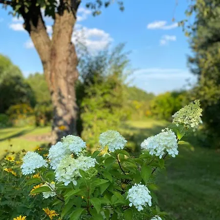 Bialy Domek Nad Wkra Popielzyn Gorny